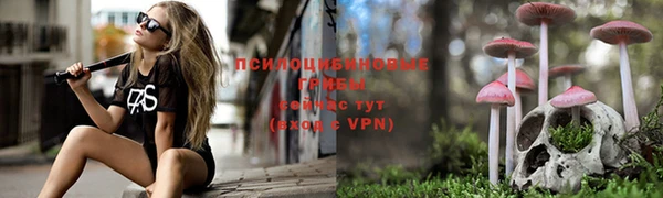 герыч Горнозаводск