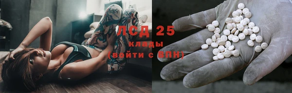 шишки Вяземский