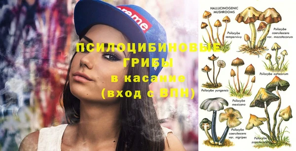 дурь Горно-Алтайск