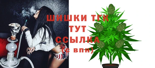 дурь Горно-Алтайск