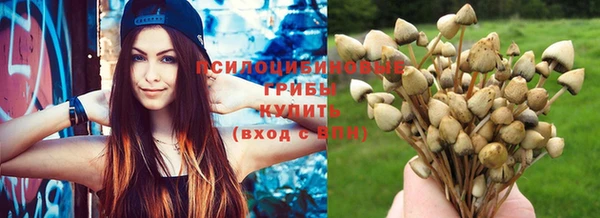 шишки Вяземский