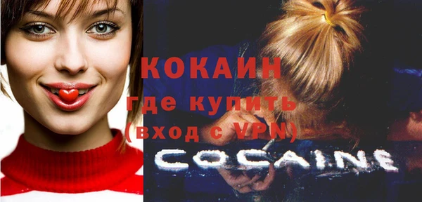 молекула духа Горняк