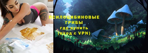 молекула духа Горняк
